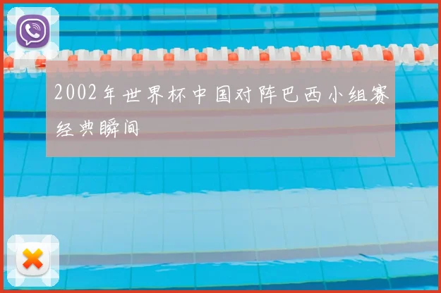 2002年世界杯中国对阵巴西小组赛经典瞬间