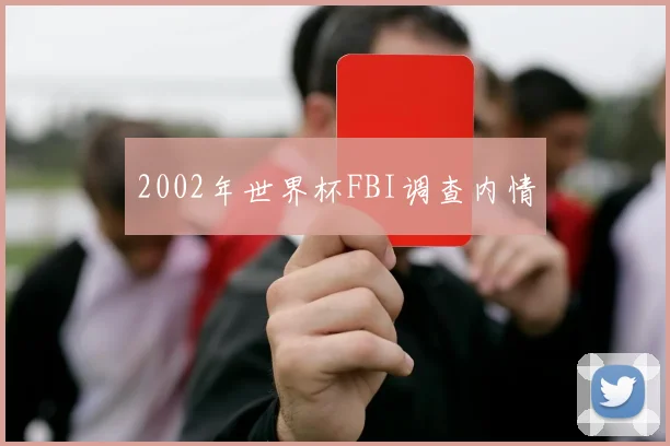 2002年世界杯FBI调查内情