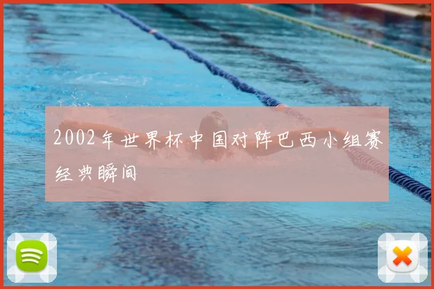 2002年世界杯中国对阵巴西小组赛经典瞬间